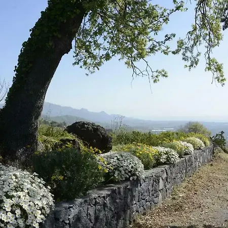 Villa Pace *