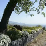 Villa Pace *